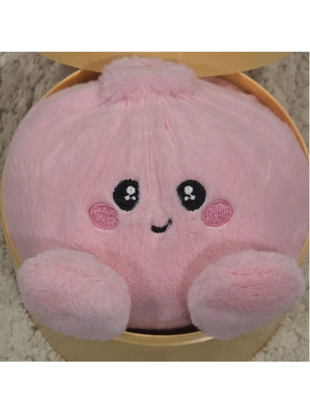 Ploofs Mystery Dumpling Plush Toy One Size Pink Yellow - Picture 2 of 6
